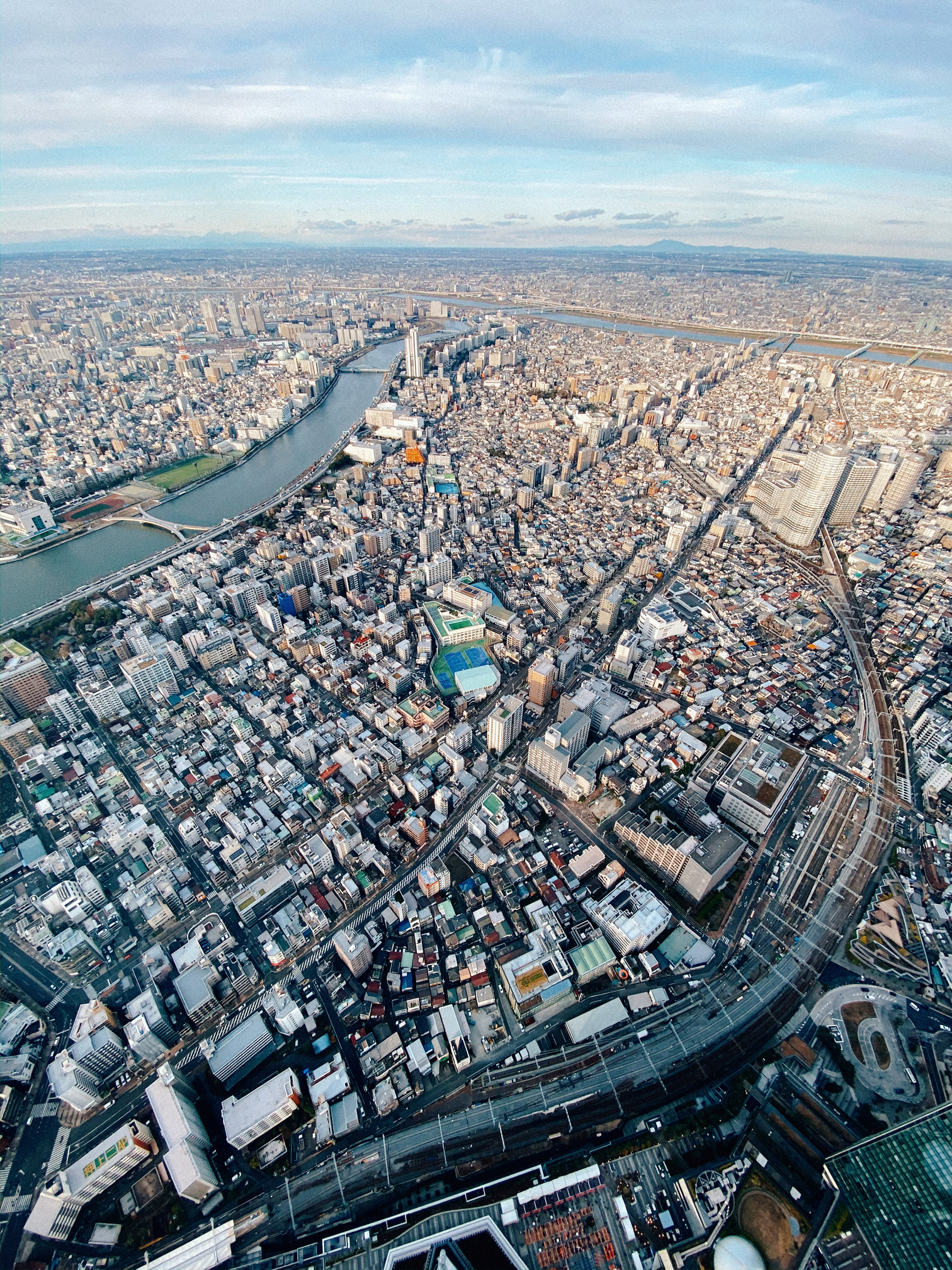 Cityscape with modern architecture of megapolis